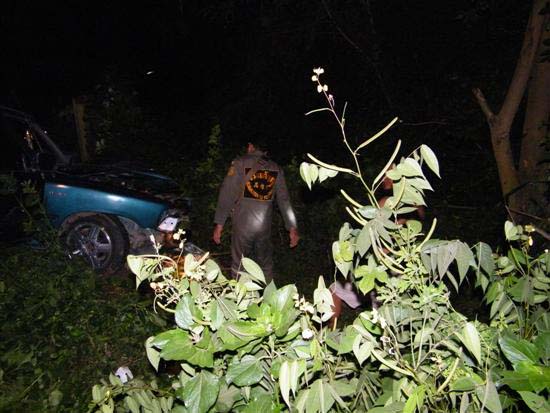 2010_10080133 (Custom)