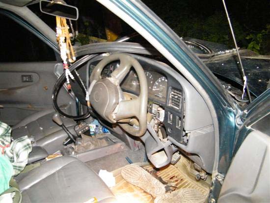 2010_10080142 (Custom)