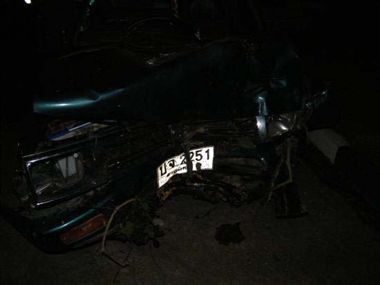 2010_10080179 (Custom)