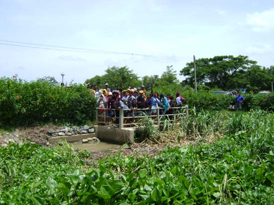 DSC00347