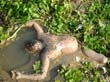 DSC00249