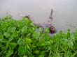 DSC00290