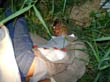 DSC00380